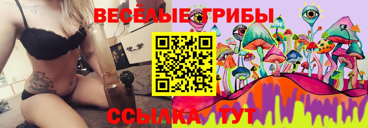 Псилоцибиновые грибы ЛСД  Вход с VPN  Коряжма 